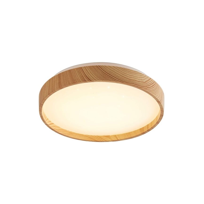 Rabalux - LED plafonsko svetlo 12W/230V, 3000K, prečnik 26 cm
